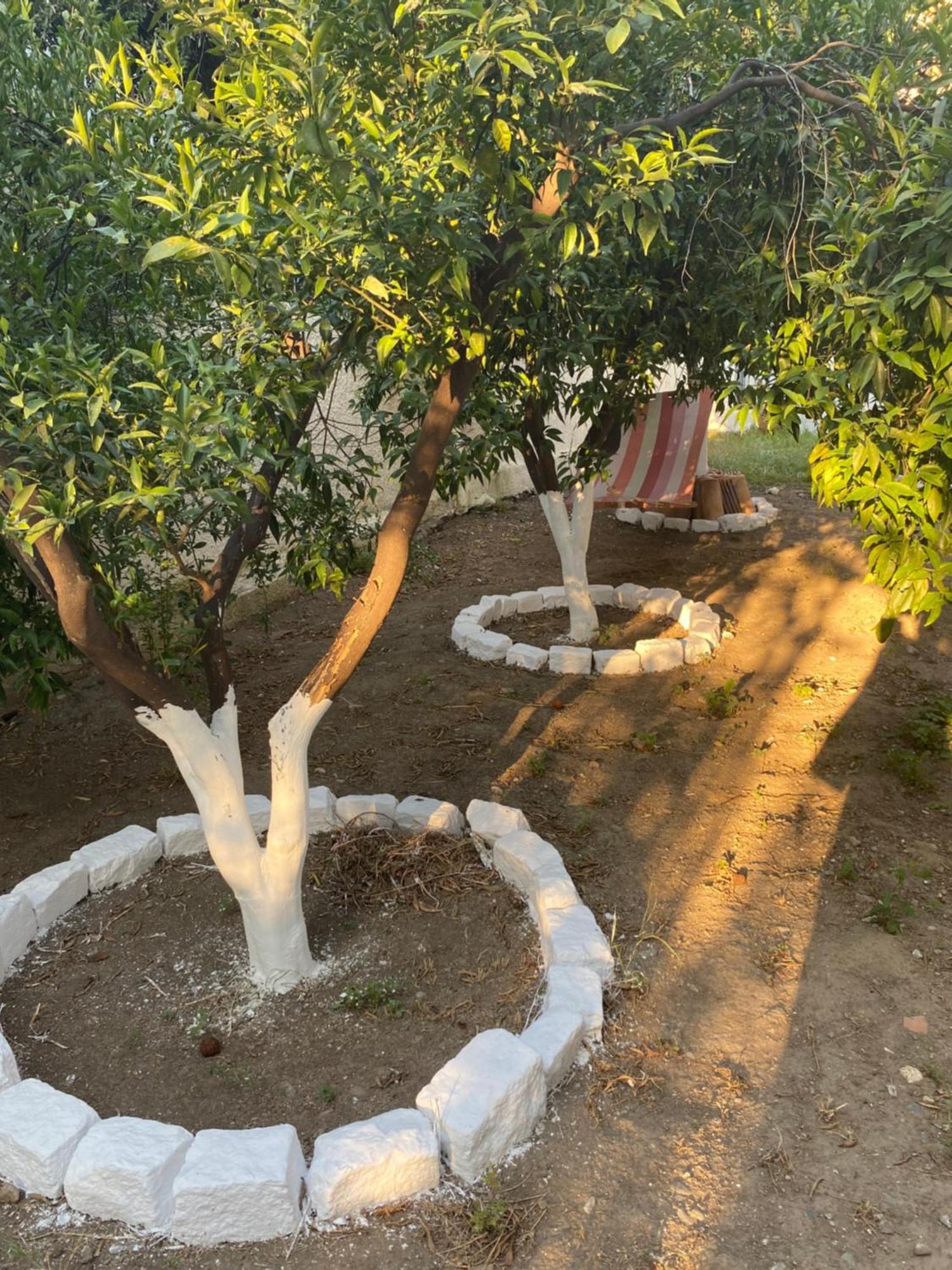 Best Located Ruby Luxury Escape Каламата Экстерьер фото