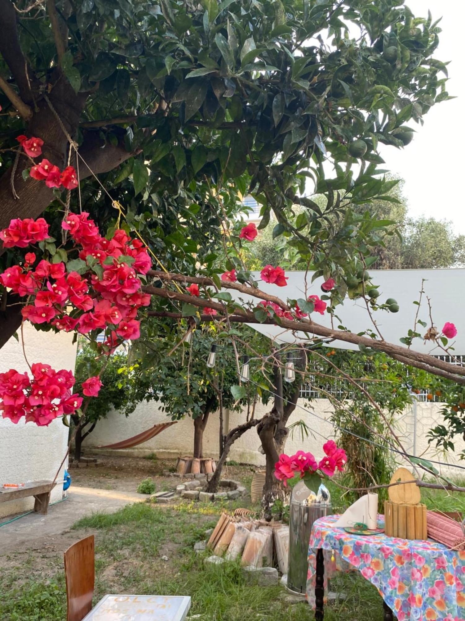 Best Located Ruby Luxury Escape Каламата Экстерьер фото
